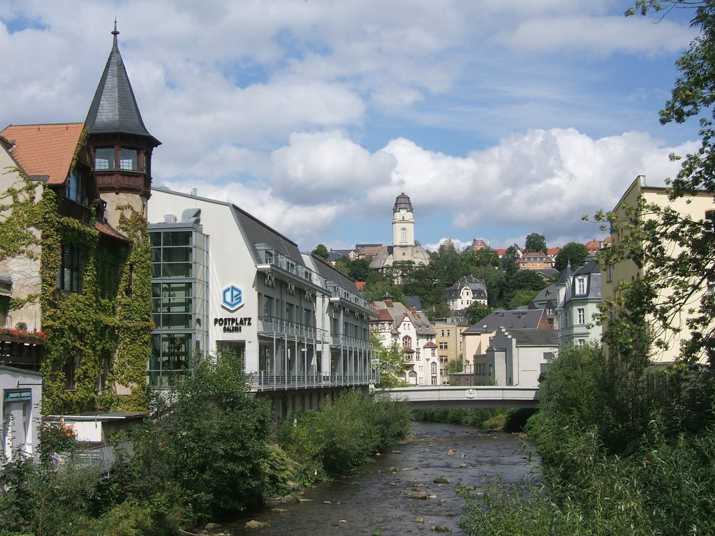 Aue Zwickauer Mulde by Walter Wagner