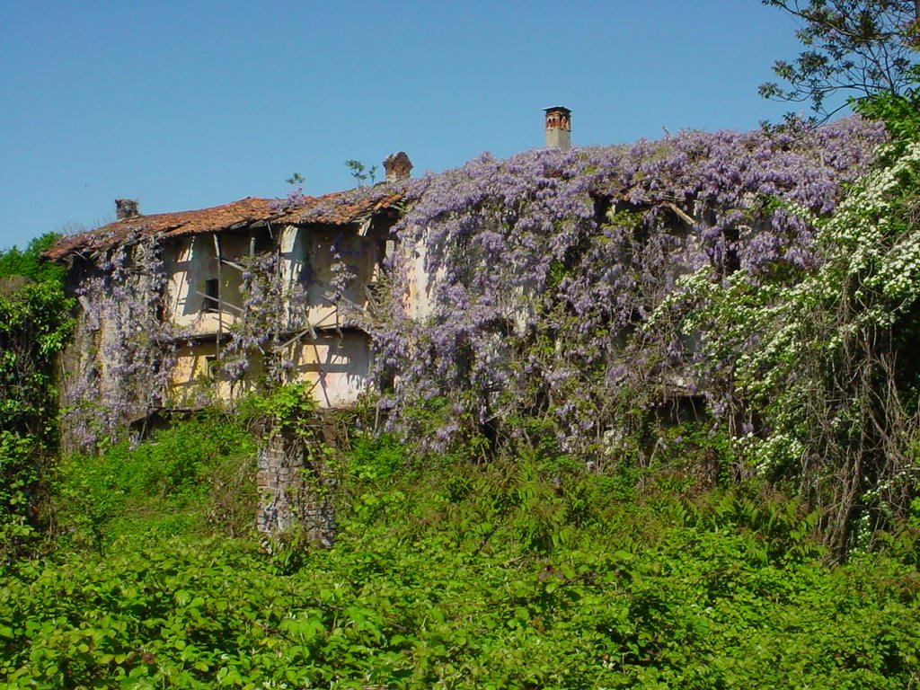 Cascina di maggio by brigida riccardi