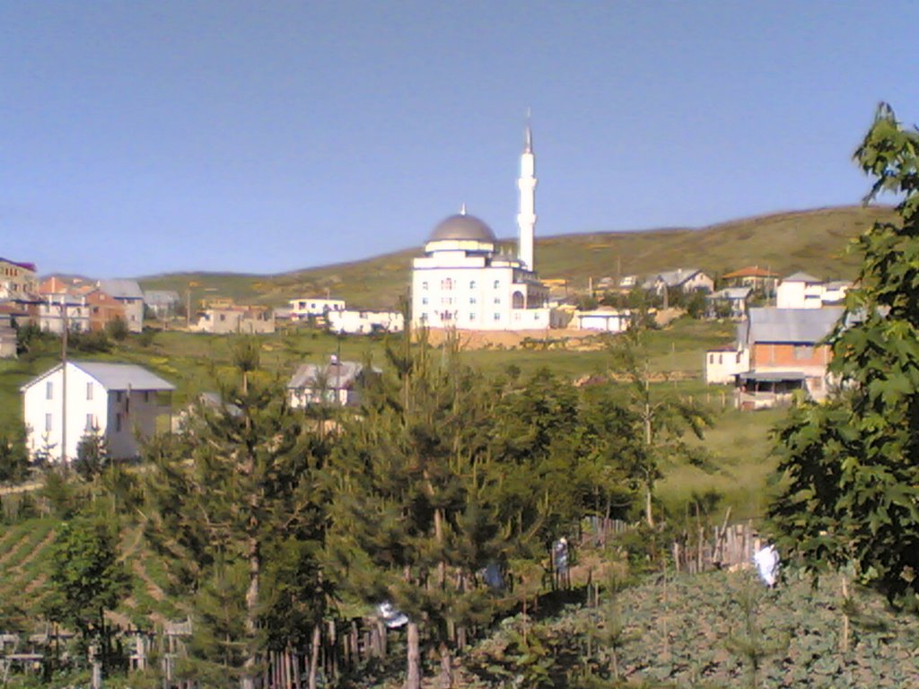 Ordu,kabadüz.çambaşı yaylası by halit_hoca