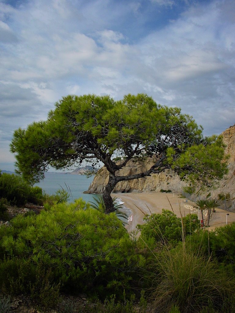 Playa Bol-Nue by vivien69