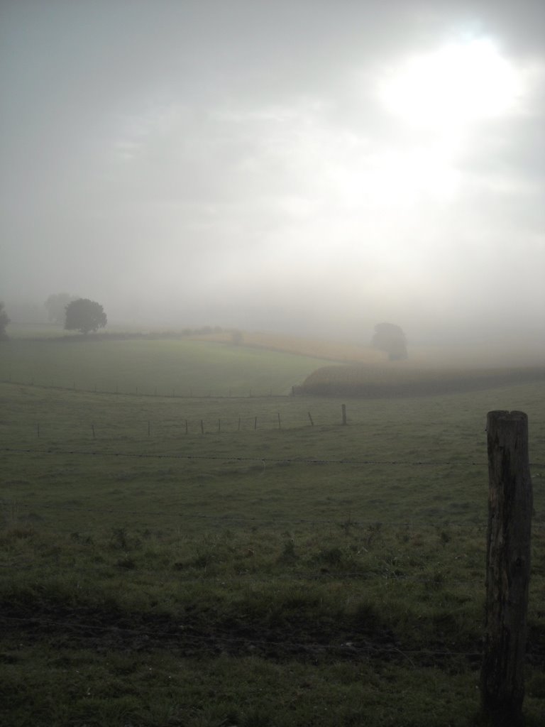 Misty morning Eperheide by Thei Moors|