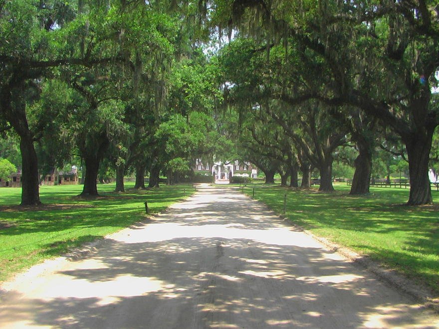 Avenue of the Oaks, Boone Hall Plantation by Elmo