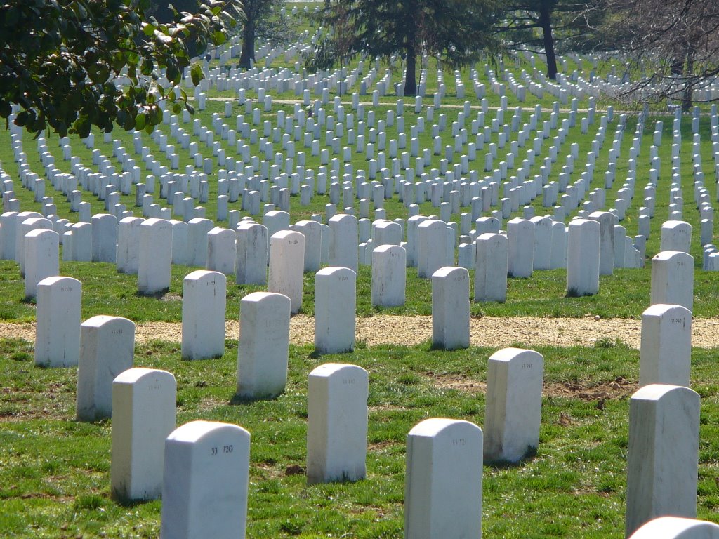 Arlington Cemetery Gravestone Panorama by johnexeter