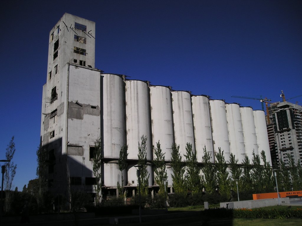 Vijos Silos de Puerto Madero by walter carlzon