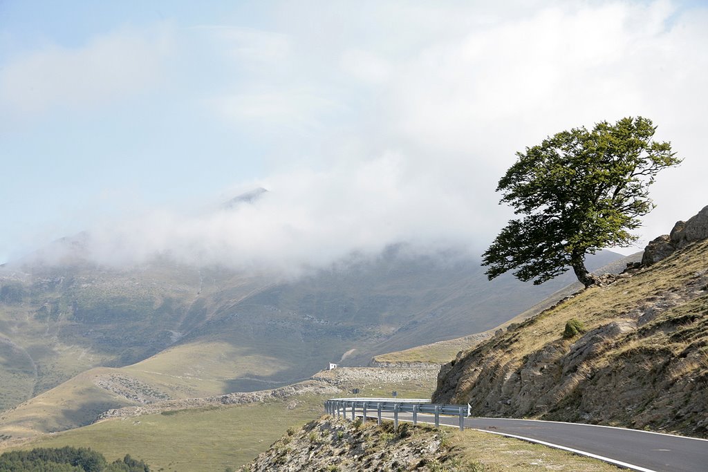 Entre la niebla el monte Ory by arana82