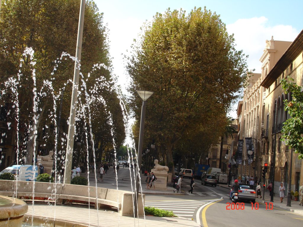 Plaza Juan Carlos I y El Borne.-Palma de Mallorca by benito martínez garc…