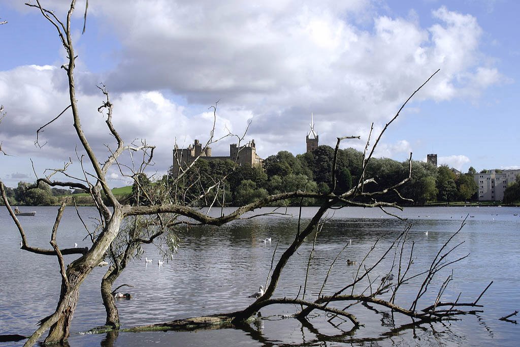 A view across Linlithgow Loch by Joe Curry