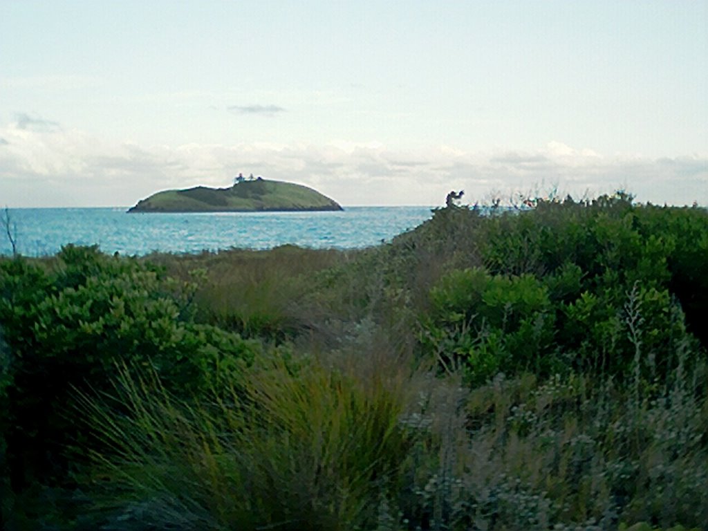 View of Blackburn Island by SHoweMBOU