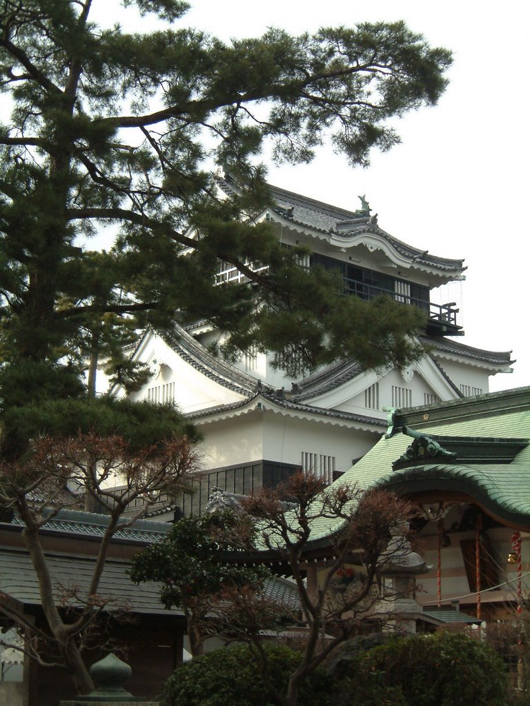 岡崎城 | Okazaki castle by viw