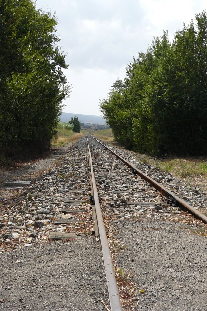 Trenino Verde. by A Davies