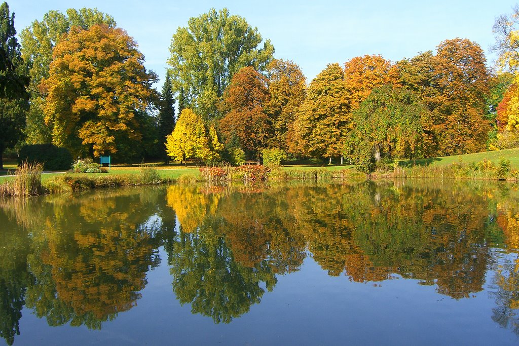 Doppelter Herbst, double autumn by UlrichSchnuerer