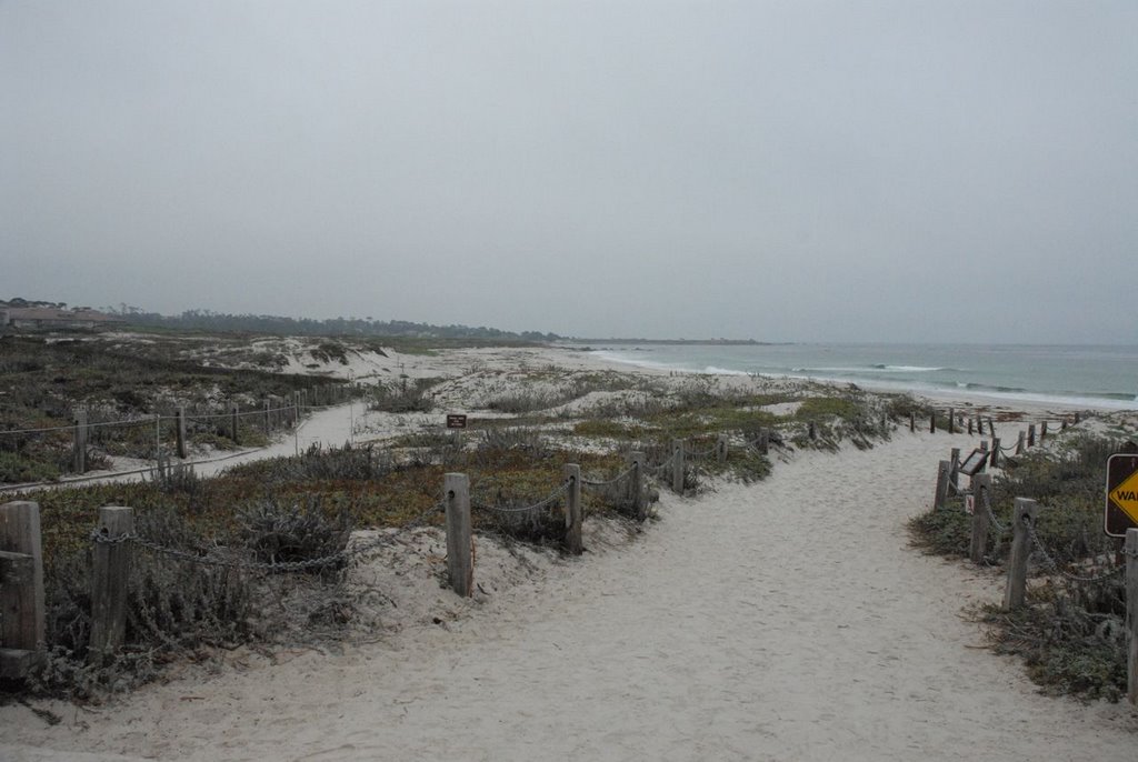 Asilomar - Ocean Beach by Zvonok