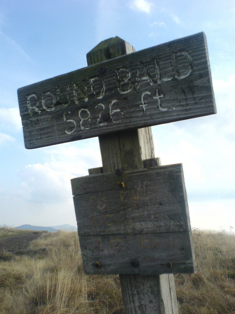 Round Bald Sign 5826 ft by Dennis Mott