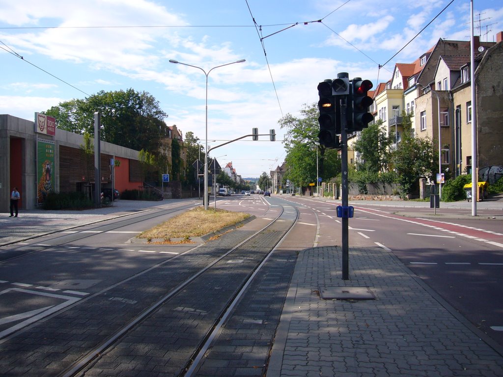 Zoo Reilstrasse Trothaer Strasse (2007) by halleliebe