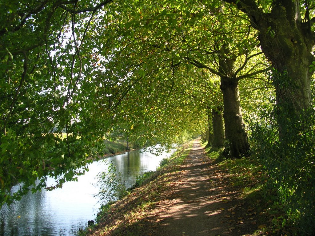 Canal de Seclin by Chris Argoat