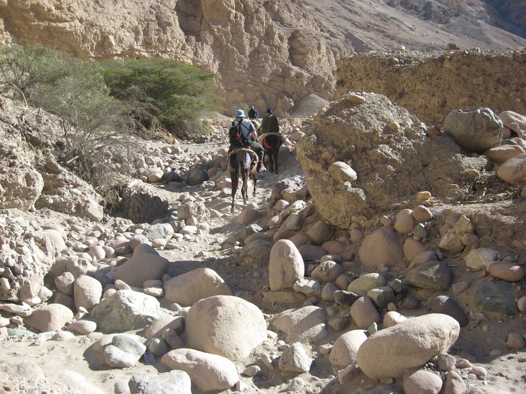 Pedregoso sendero hacia Livilcar, río San José, Arica, Chile. by Luis Vidallagos