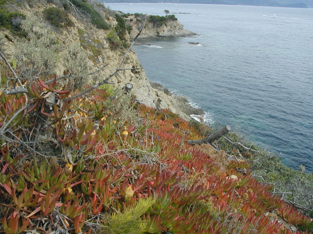 Sentier côtier Cap blanc by jonvelle