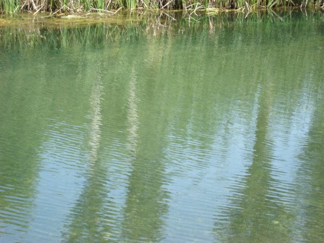 Lake near golpayegan by Babak.yz