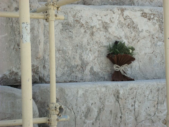 Flower on great cyrus tomb by Babak.yz