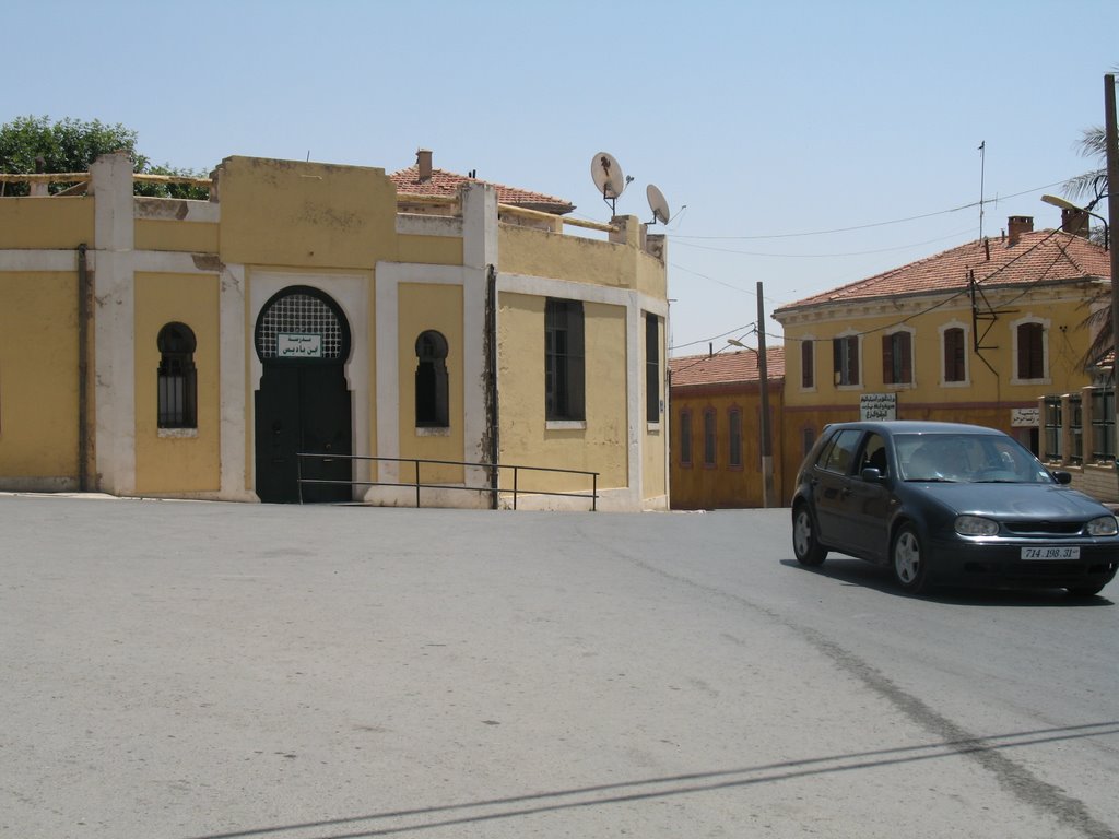 Tiaret Elementary School Benbadis by kokomani