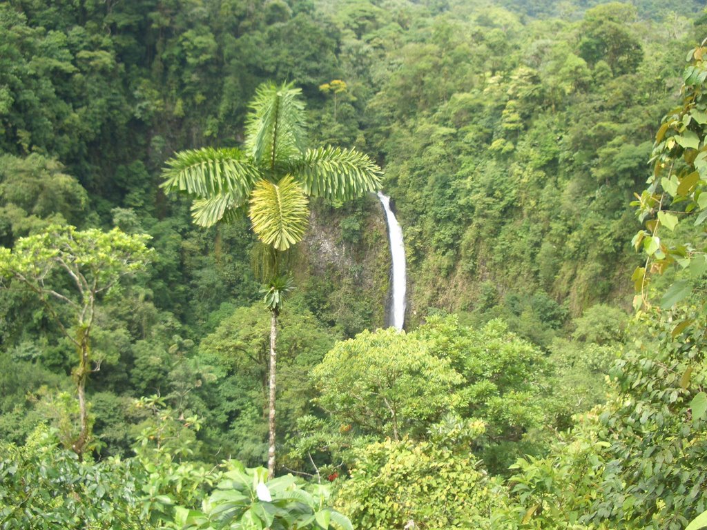 Catarata waterfall 1 by yanivp31