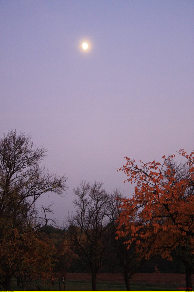 Der Mond geht auf .... by G.Stotz