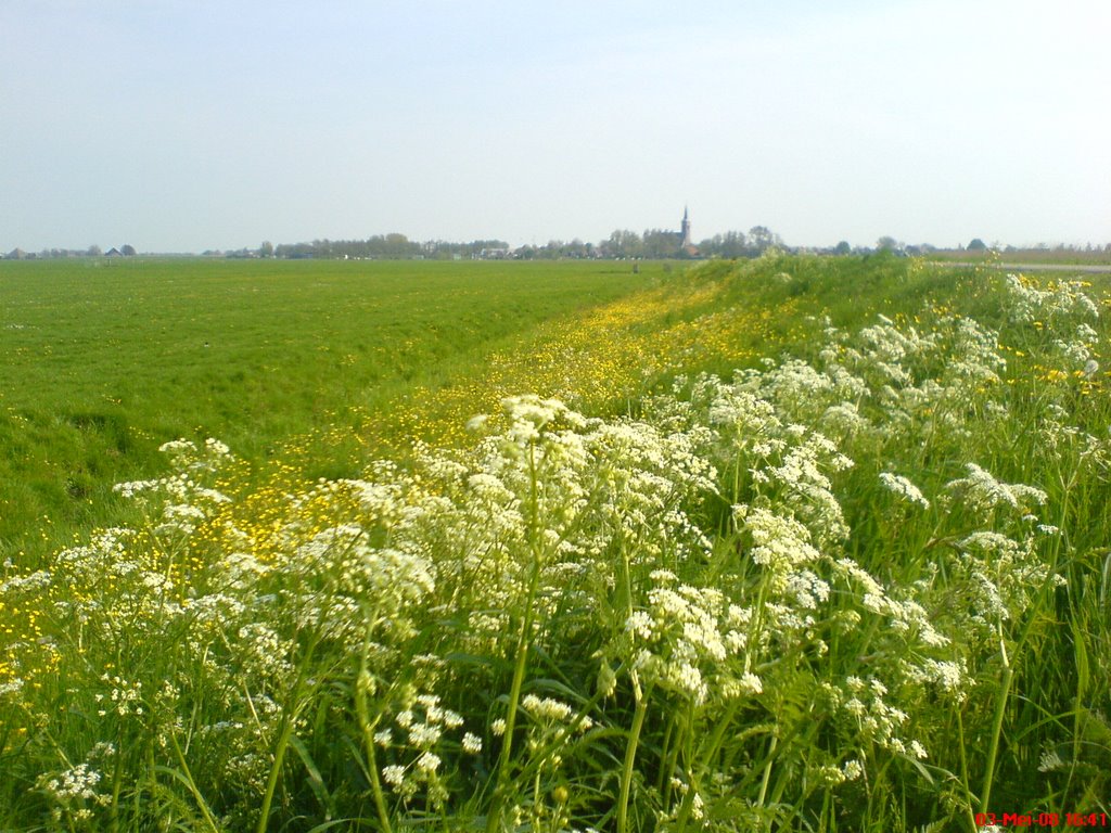 Schermerhorn in de lente by najlor