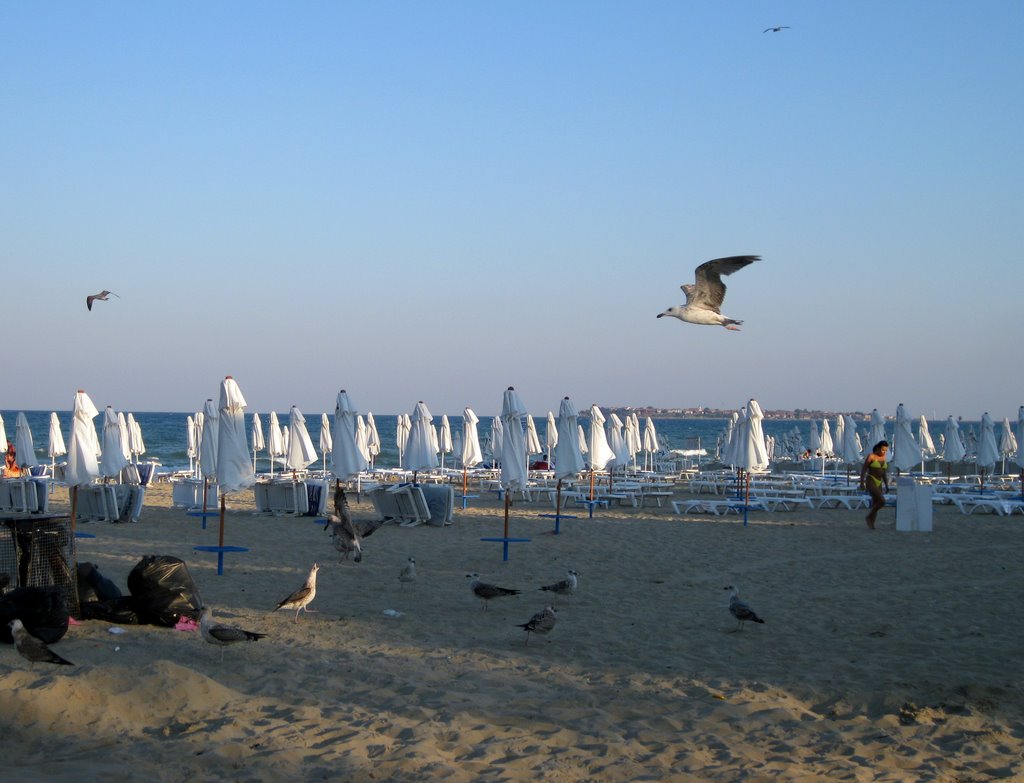 Gulls & a woman by Mimas