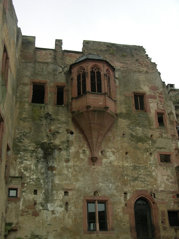 Heidelberg. Lo más antiguo del Castillo by assela alamillo