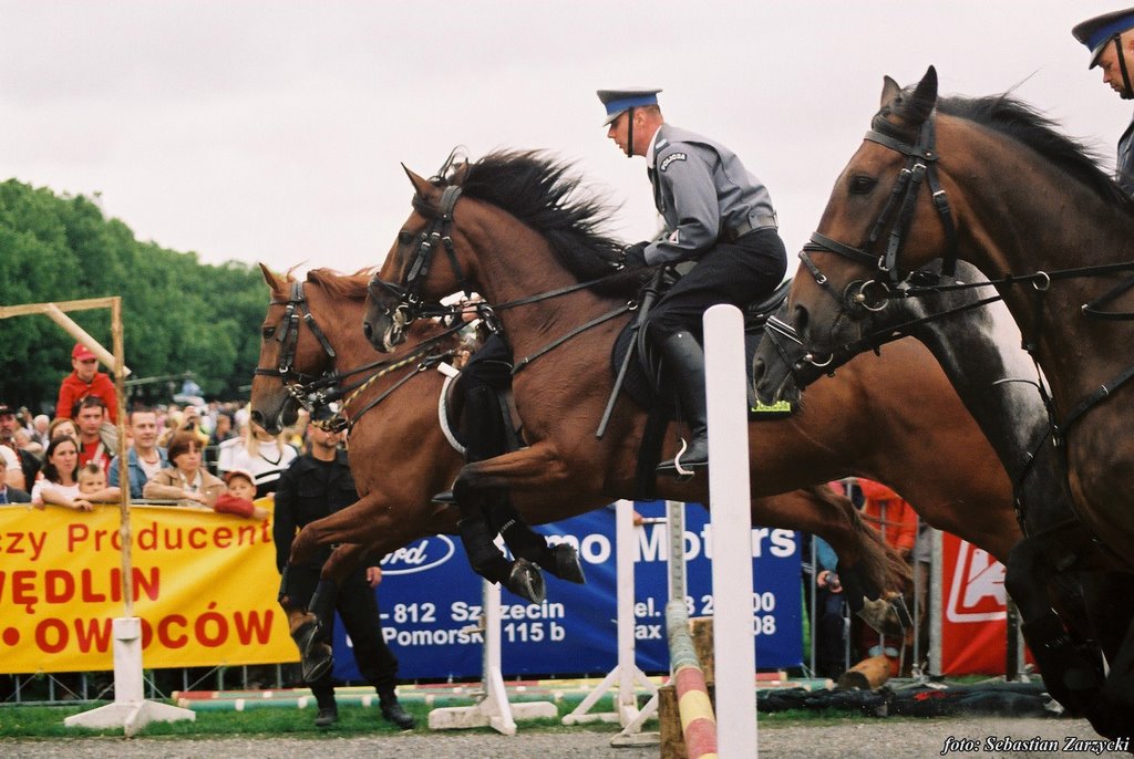 Synchronous jumping, police's day by Tomator