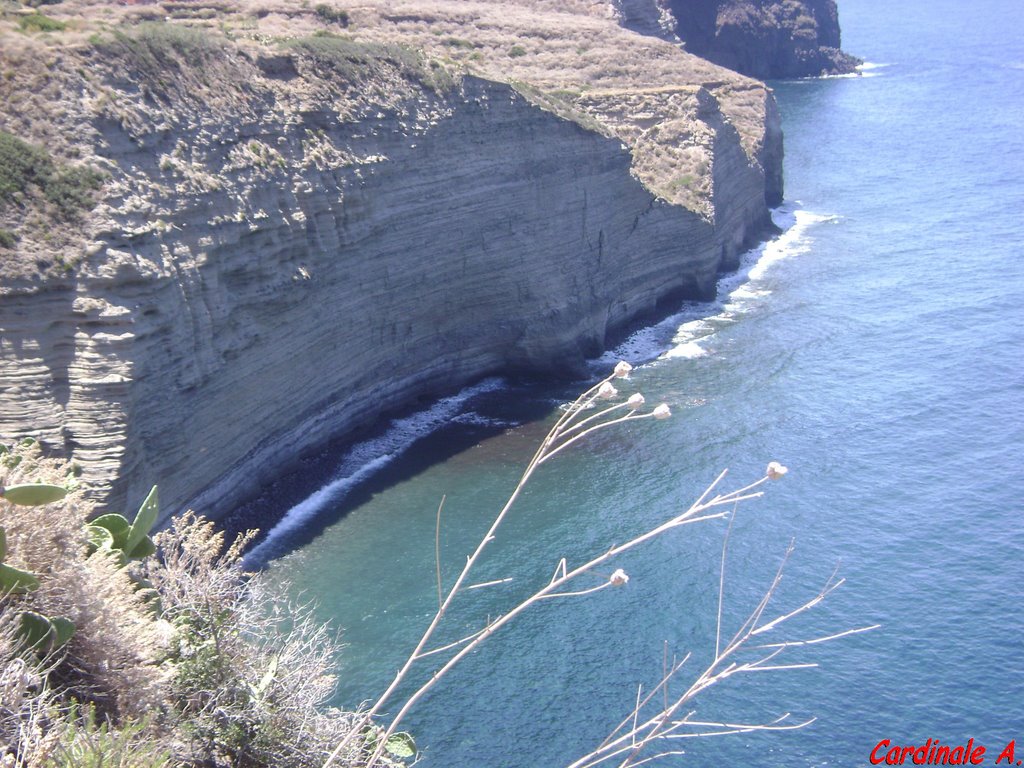 SCOGLIERA POLLARA E MARE by © Cardinale A.