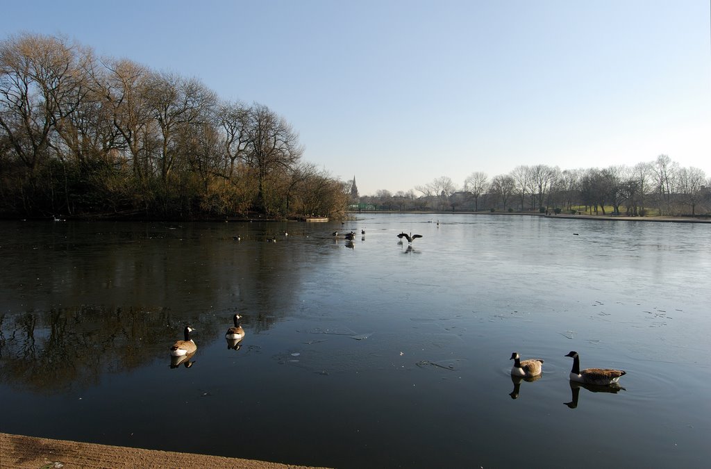 Platt Fields, Lake, Manchester, February 2008 by dzc80