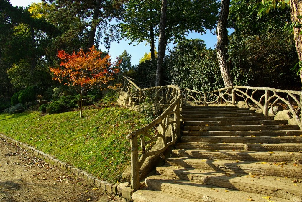 Automne 2008 parc Montsouris by J-F PAIN