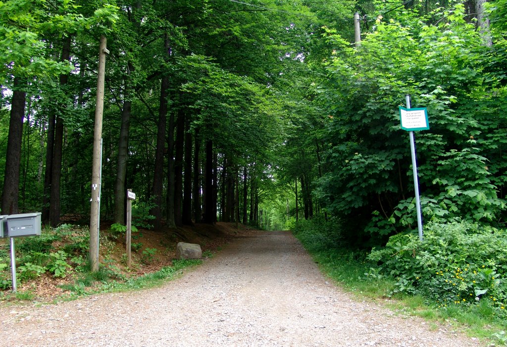 Am Forsthaus - Rabensteiner Straße by Foto Fitti