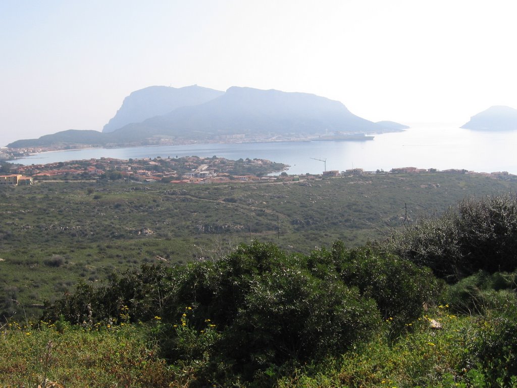 Blick auf Golfo Aranci by Klaus Eltrop