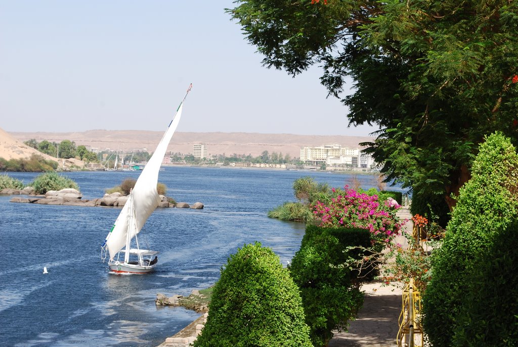 Kitchener's Island (Aswan) - Botanical Garden by Sören Smets