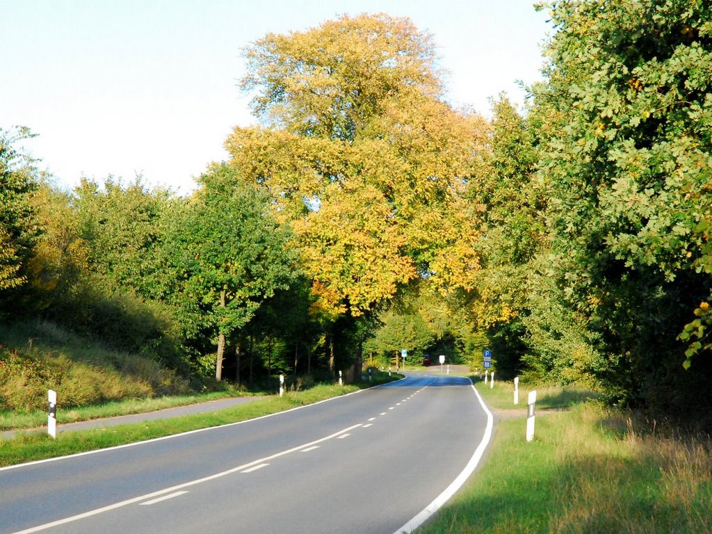 Die Plöner-Straße bei Vierth by Hans Wolters