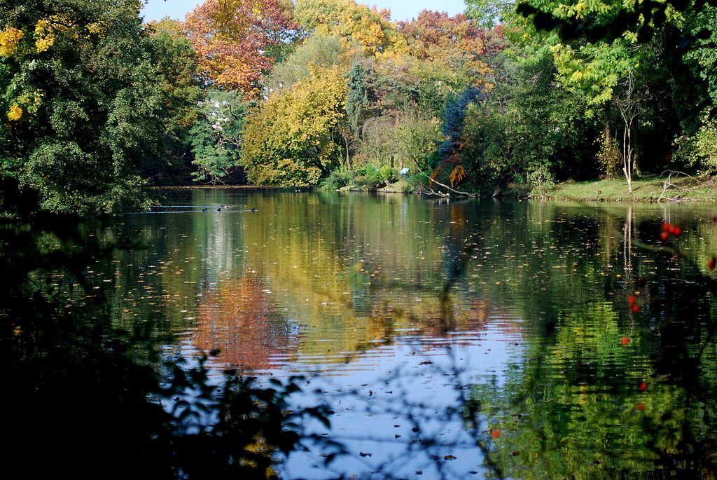 " Herbstgemälde" im Schloßpark by steirerin