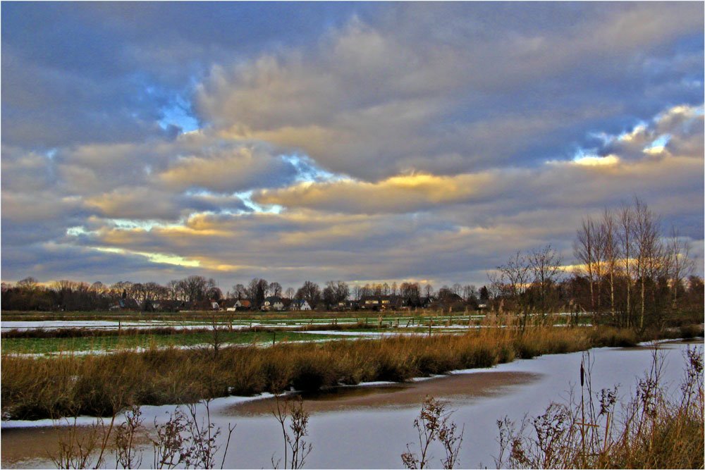 Winter im Hollerland by SandraS.