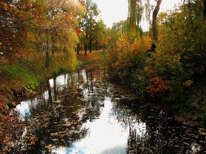 Die Stever im Herbst by SandraS.