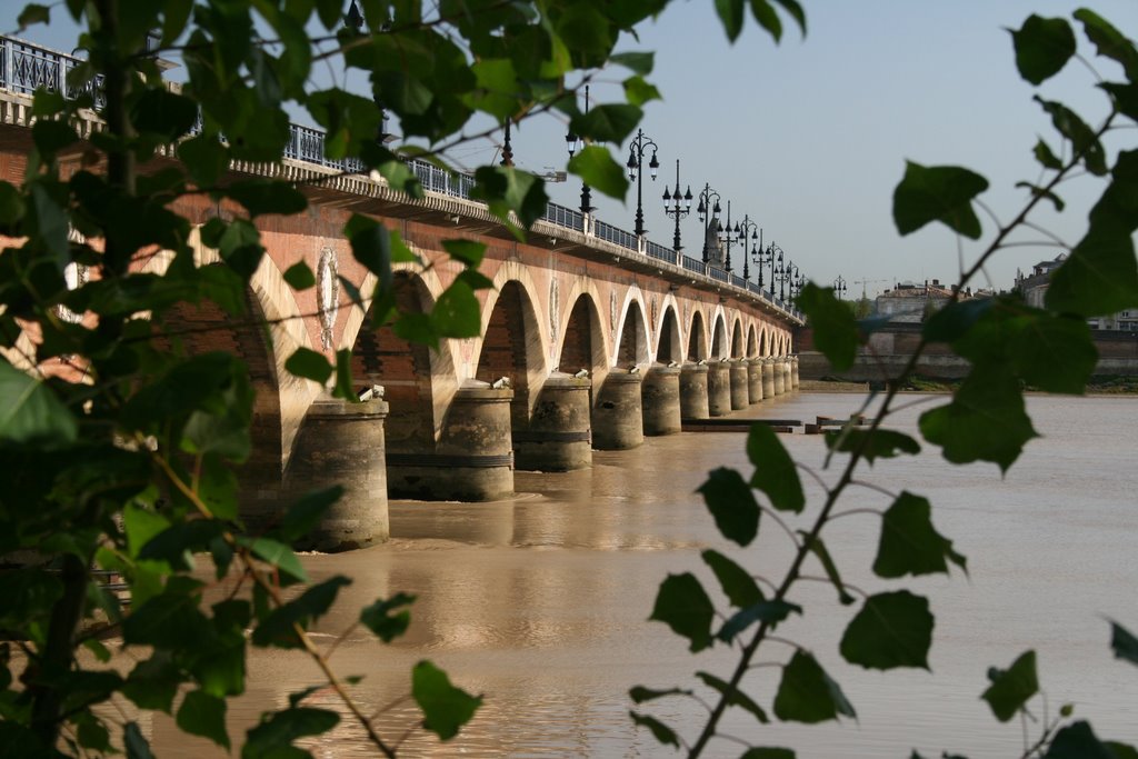 Pont de Pierres by Francis Lacroix