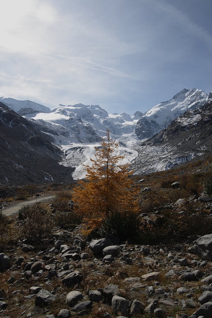 HOLIDAYS-SWITZERLAND.CH / Morteratschgletscher by holidays-switzerland…