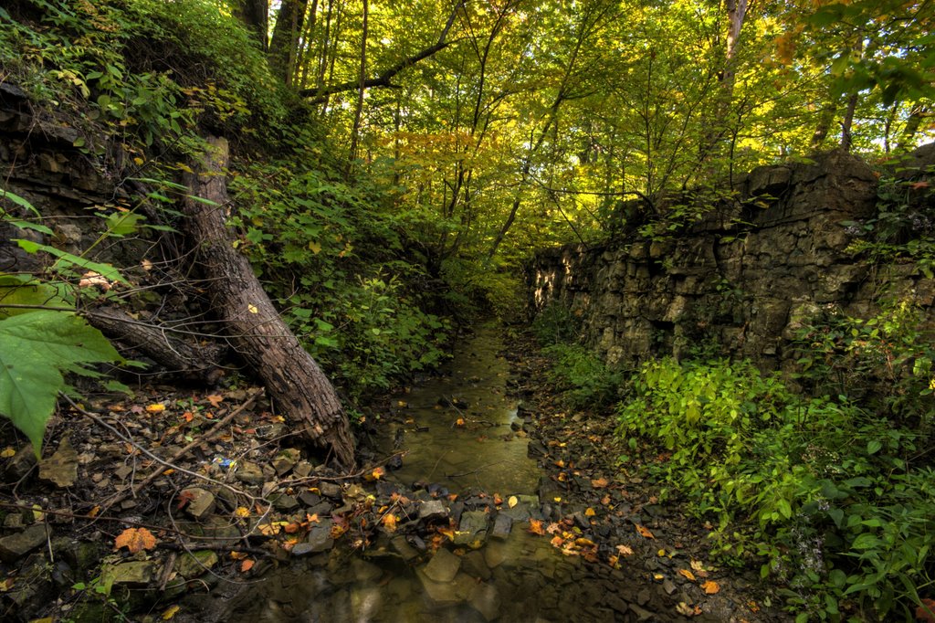 Stream leading to waterfall by jaylolli