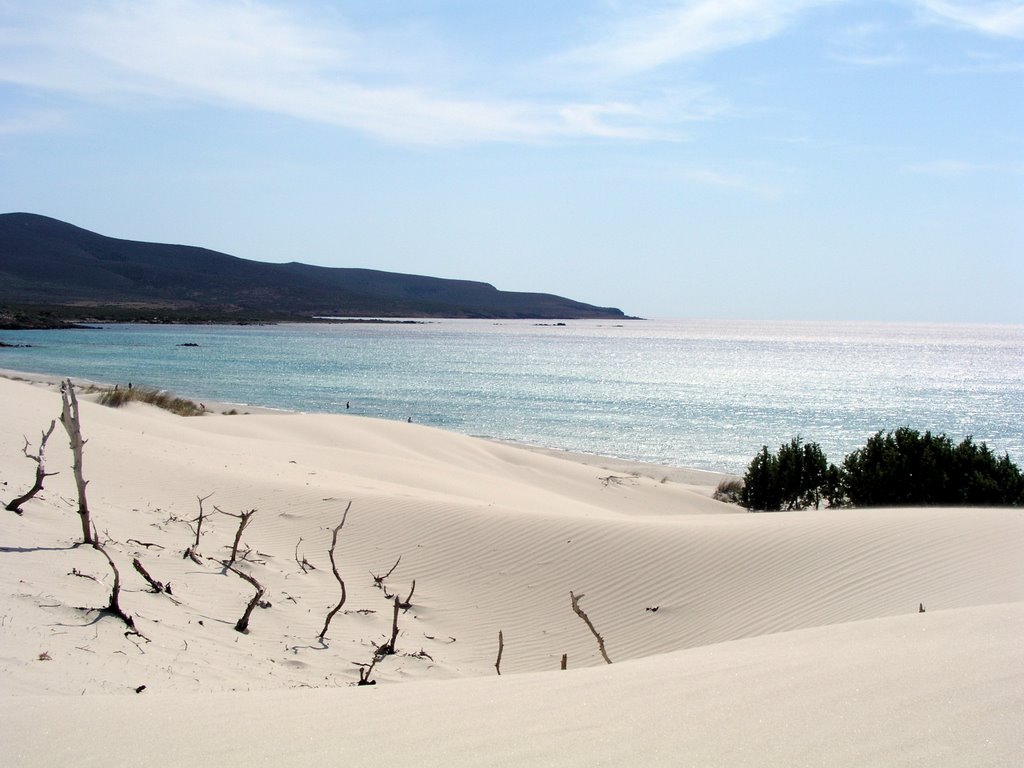 Dune, spiaggia di Porto Pino by siomar