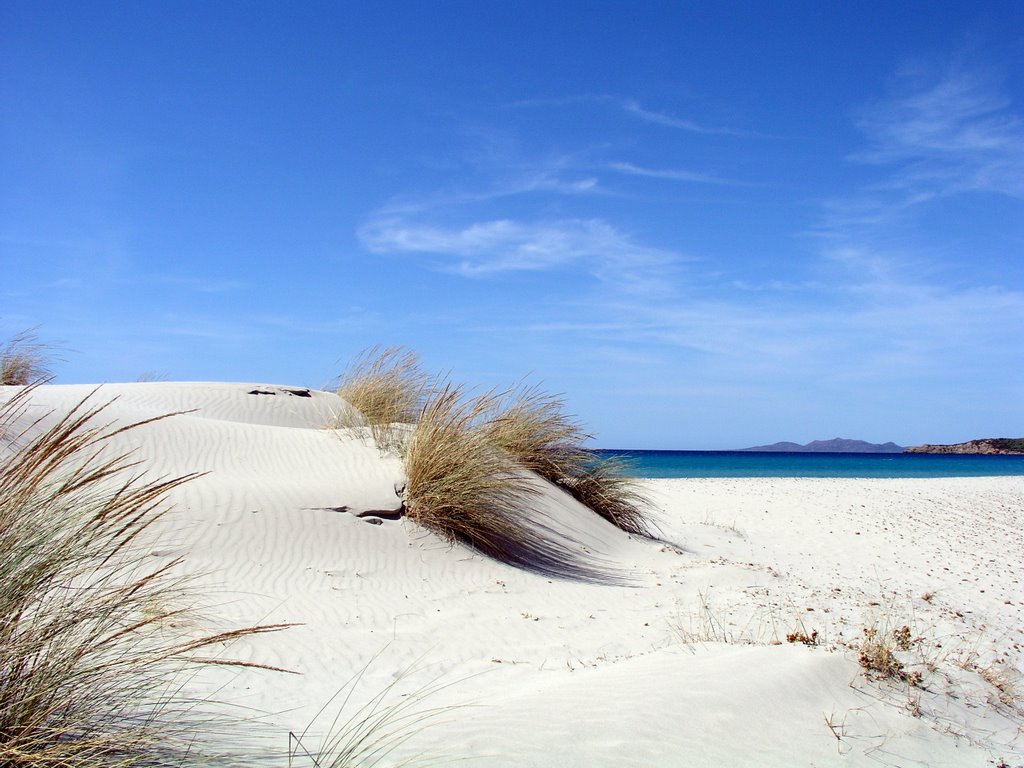 Dune, spiaggia di Porto Pino by siomar