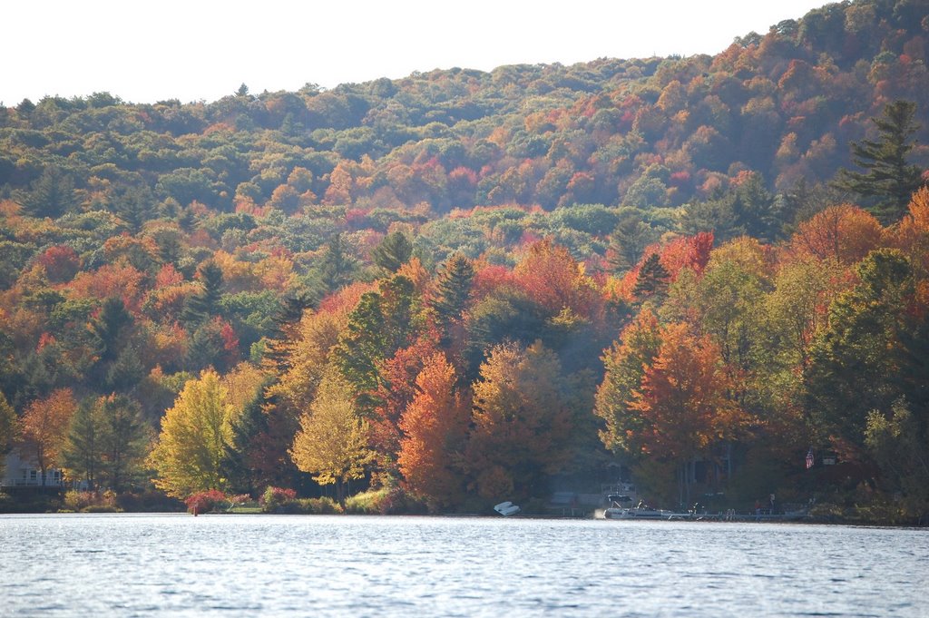 Highland Lake Looking SW by rsears