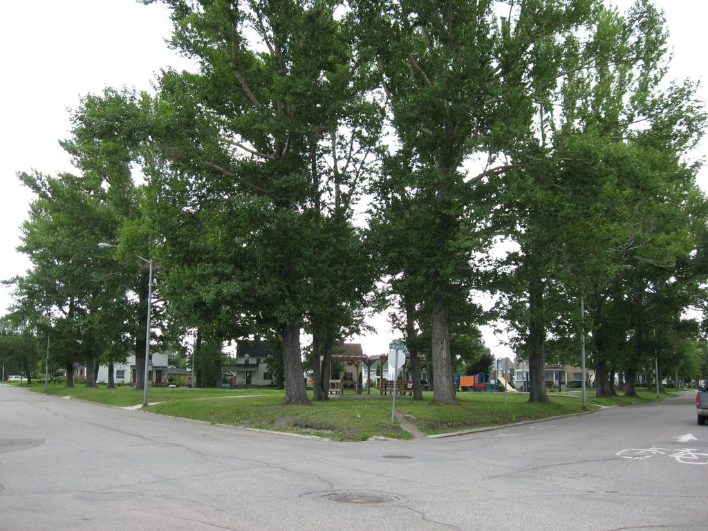 Parc Lévesque 2 by Bog