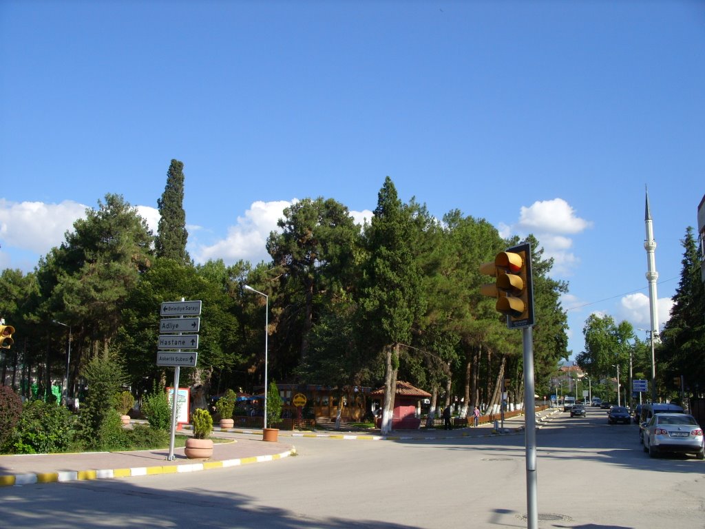 Merkez Park ve Büyük Cami by Mehmet Türker