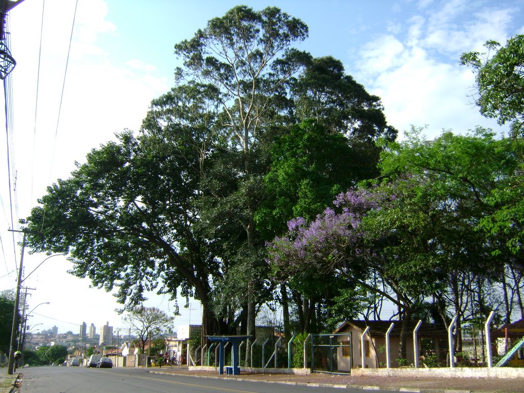 Bairro São Bernardo - a direita Escola Infantil Carlos Zink by Alexander Denarelli