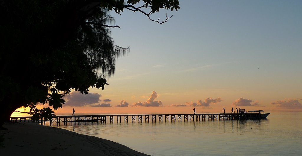 Carp Island jetty by ParisH